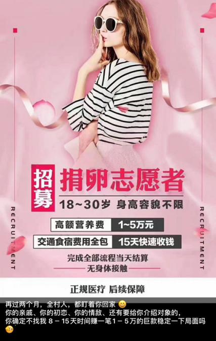借卵代孕公司有哪些
