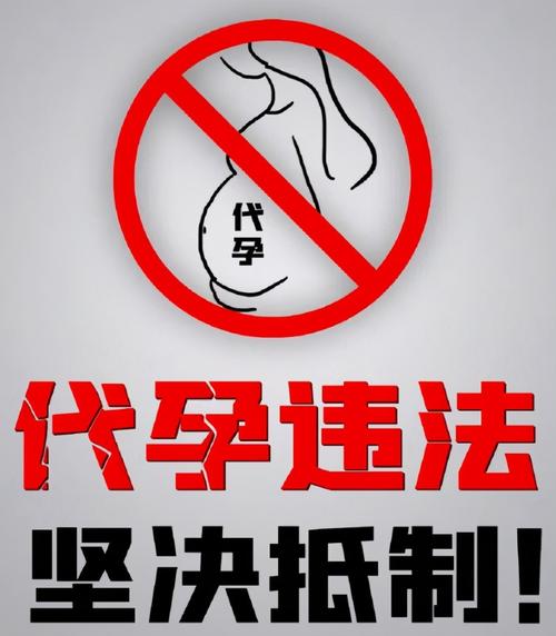 借卵代孕哪家成功率高