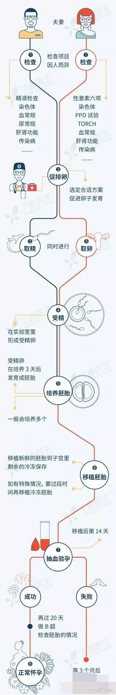 借卵代孕成功率