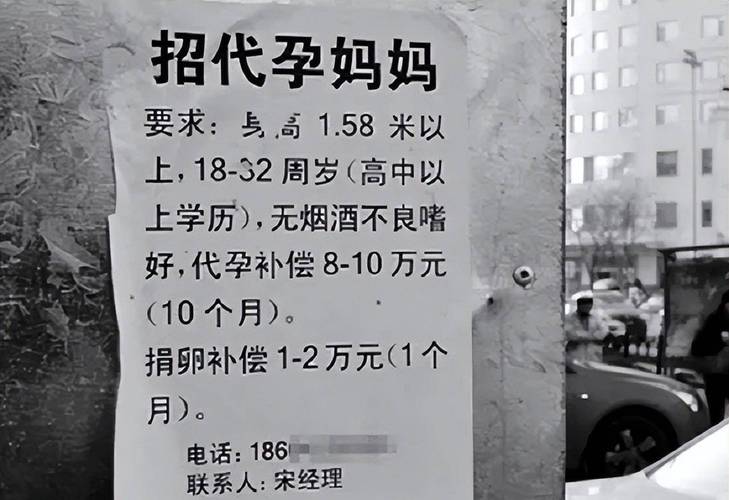 国内捐卵代孕成功率